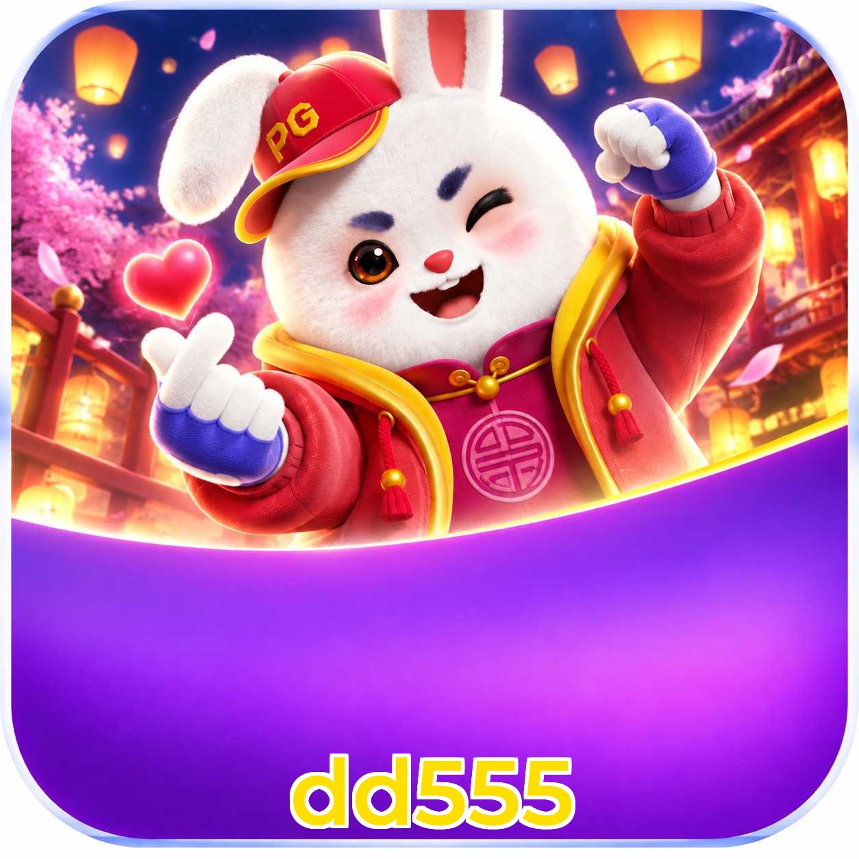 dd555 Suporte