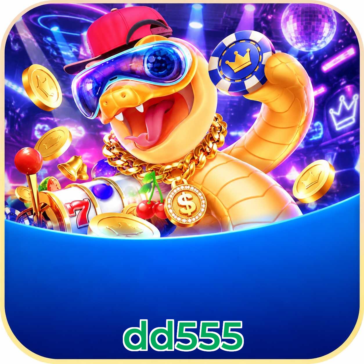 dd555 FAQ
