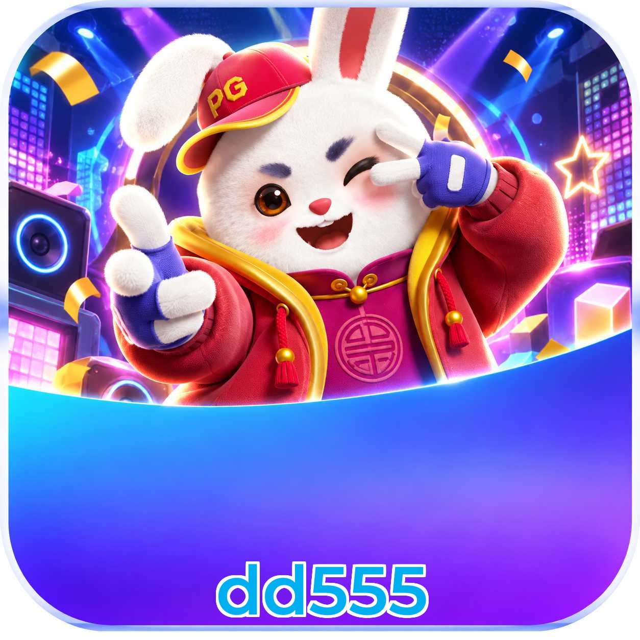 dd555 VIP Program