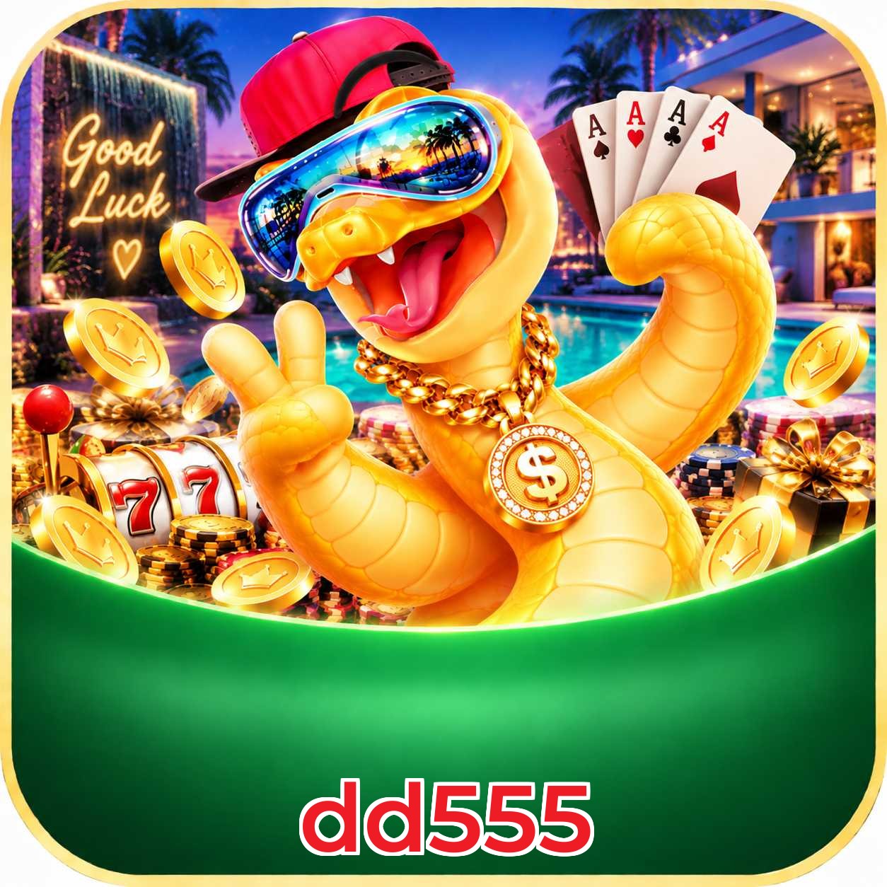 dd555 Bet Odds Analysis