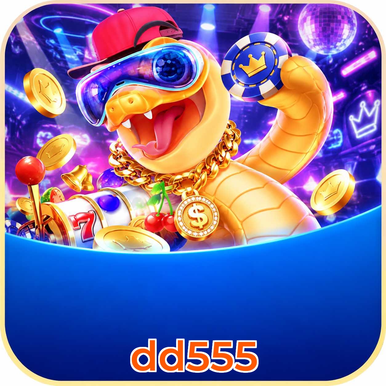 dd555 App FAQ