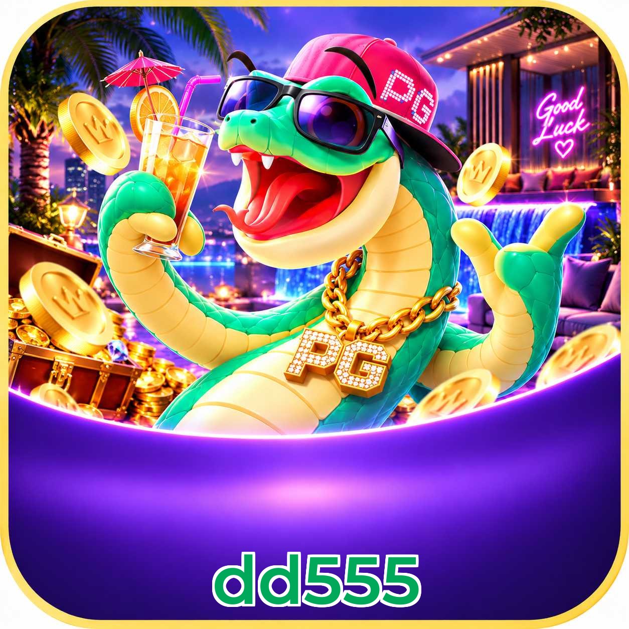 dd555 App Features