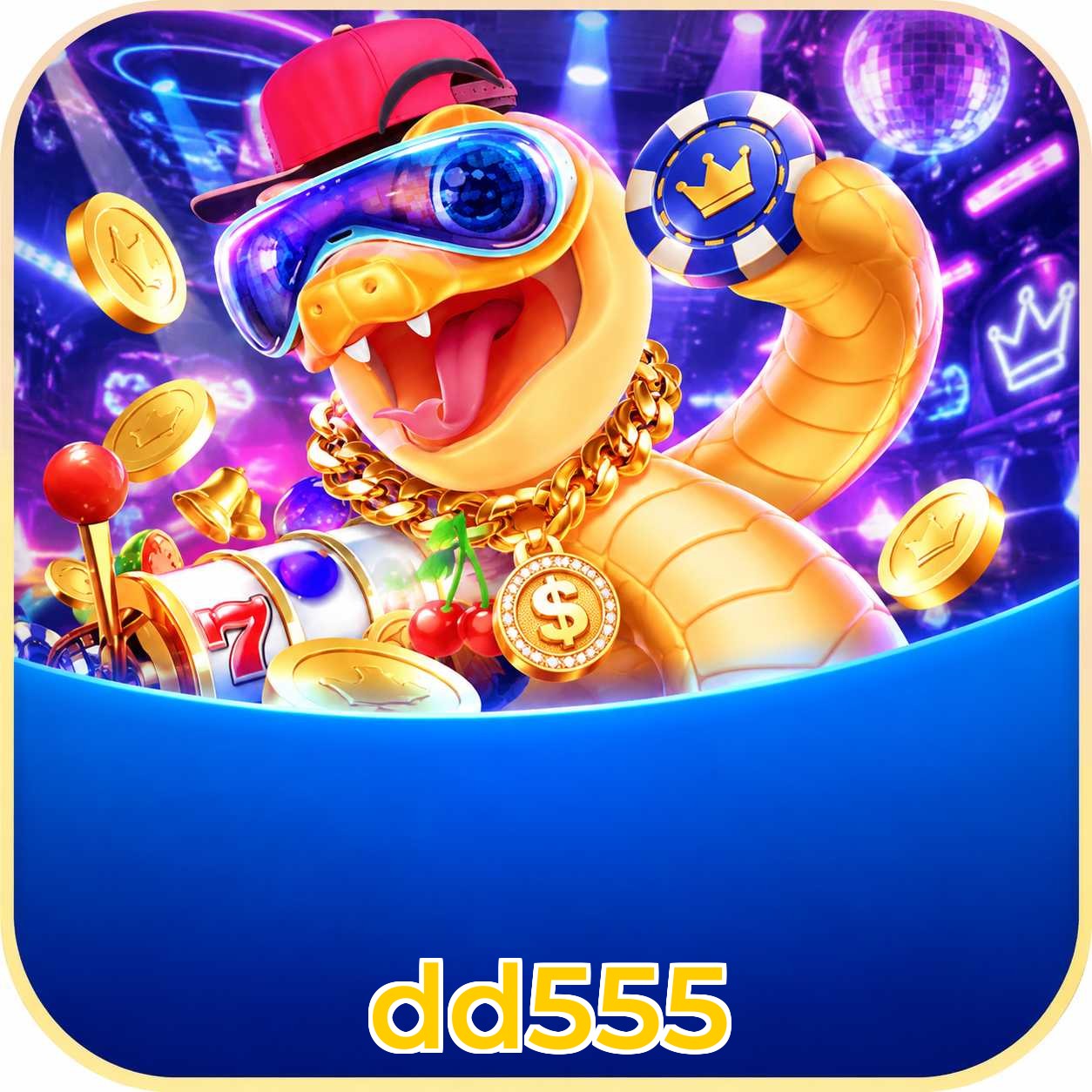 dd555 System Requirements