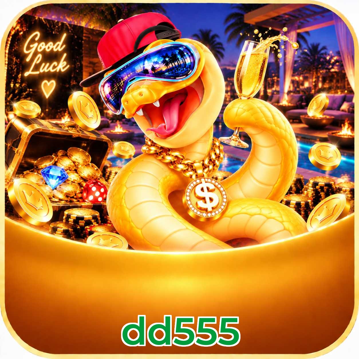dd555 Logo