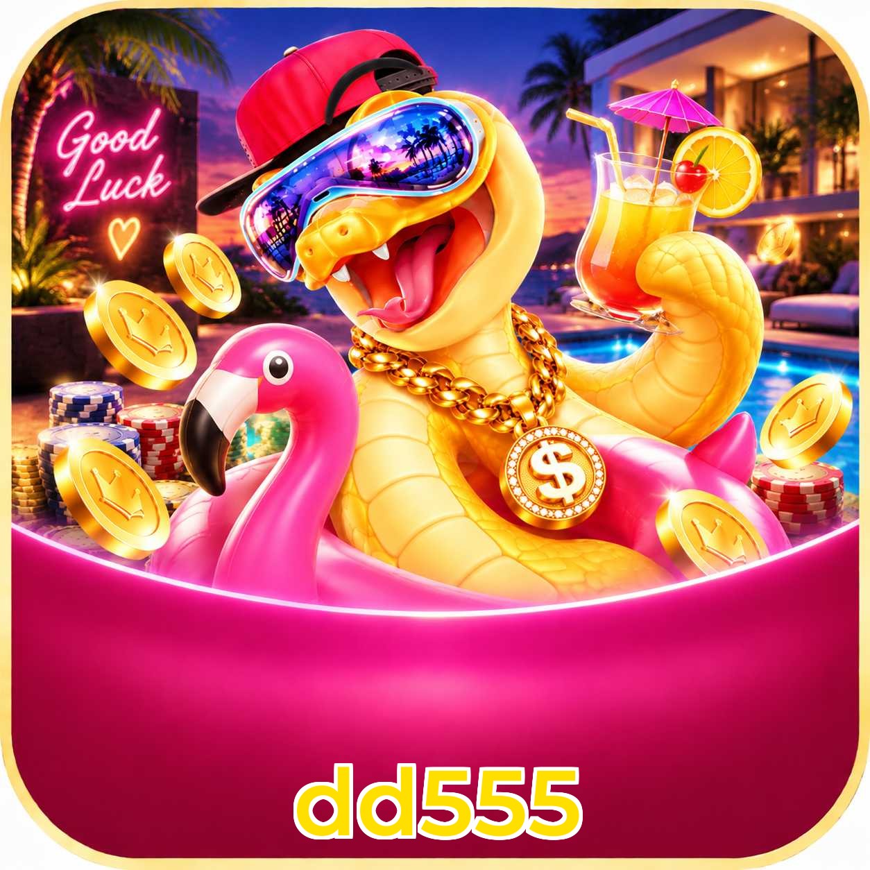 dd555 Live Dealers